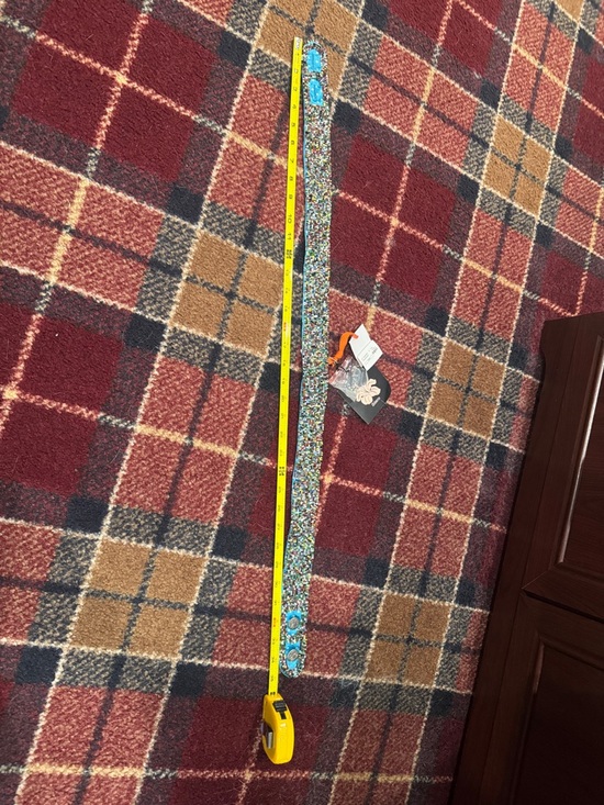 Other - Turquoise Multicolor Beaded Belt. Size small petite never worn